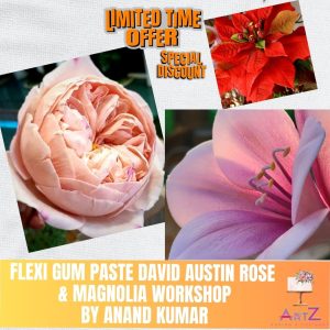 Flexi Gum Paste Austin Rose & Magnolia Sugar Flowers Workshop by Overseas Instructor Anand Kumar